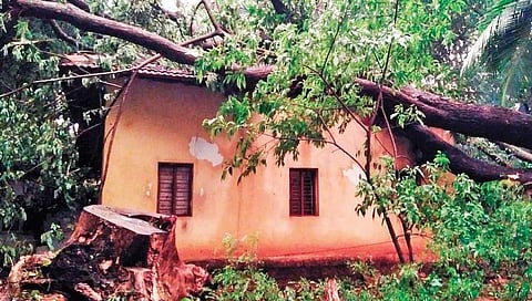 A house damaged due to tree fall in Ambalapadi in Udupi on Tuesday