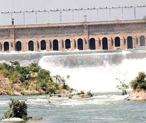 Good days ahead for farmers, thanks to 53 per cent excess summer showers