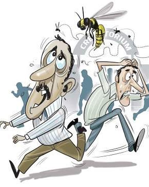 Bees invade marriage venue, injure two dozen