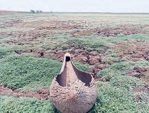 Dried up Kolleru Lake leaves Andhra Pradesh villagers high and dry