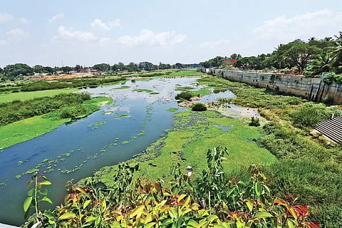 The Tunga riverfront | Shimoga Nandan