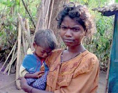 Literacy Mission has made a slew of recommendations to the government on further improving the lives of tribals.