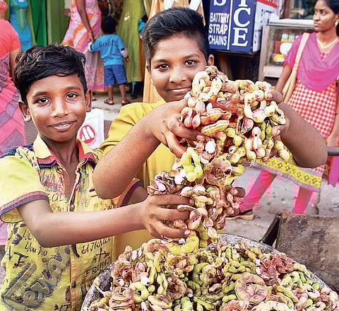 Photo: Nakshatra Krishnamoorthy