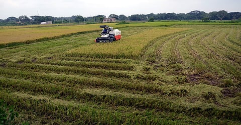Farmers using paddy harvesting machine on their farm land on the outskirts of Bhubaneswar | Express Photo by Biswanath Swain