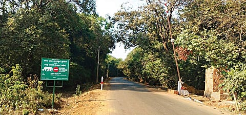 Image used for representational purpose.