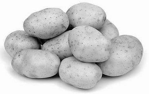 More cold stores for potato demanded in J’singhpur