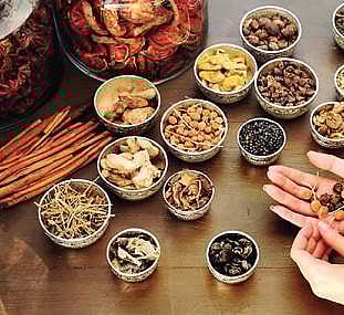 Experts call on government agencies to promote medicinal plant cultivation in state