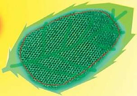 Indian Institute of Science develops artificial leaf to reduce carbon footprint