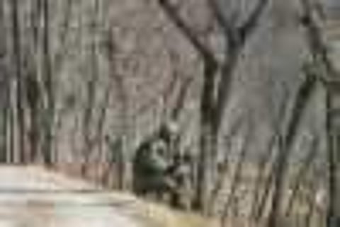 Image for representational purpose only