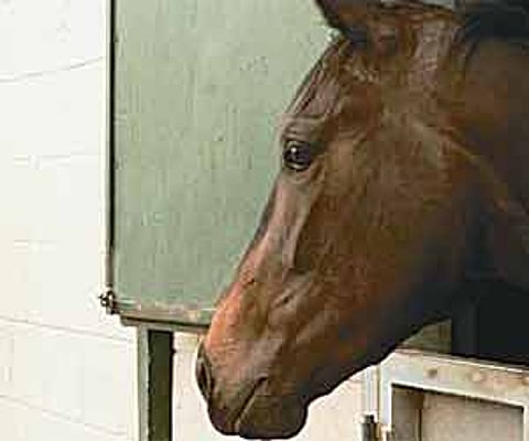 Image for representational purpose only