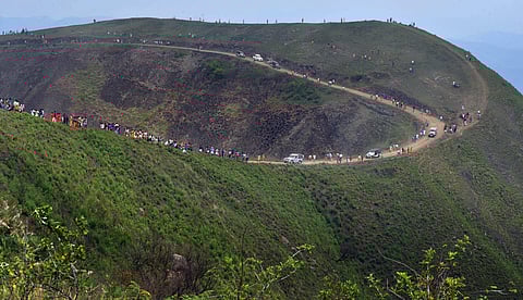 Thick forests and thriving wildlife will make one fall in love with Idukki (File | EPS)