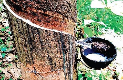 Image used for representational purpose ( File Photo)