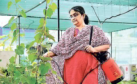 ‘Don’t be sad if plants die’