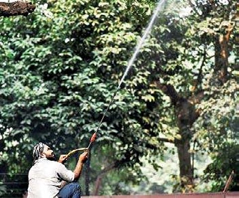 An NDMC worker sprays water on a tree to settle dust as part of measures against pollution, at Parliament Street in New Delhi (File | PTI)