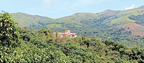 A private forest conservancy around a resort | G Veeresh