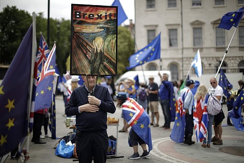 Pro-EU supporter holds a placard during a protest across the street from the Houses of Parliament in London. (File : AP)
