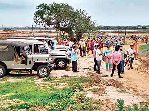 Choosing prawn mafia over Chilika?