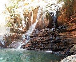 Odisha: Debjharan to be developed as eco-tourism site