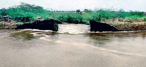 Water gushes out throgh the 20-feet breach caused to Kommamuru canal late on Friday night near Mutluru in Guntur district | Express
