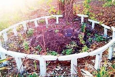 Safety guards around wells in forest to protect elephants