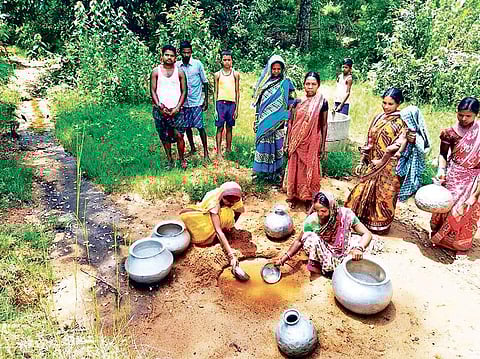 Villagers collecting water from a pit at Dhadasahi in Mayurbhanj district | Express