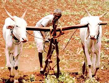 Image for representational purpose only.