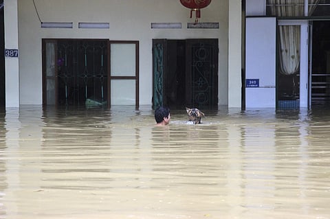 A man swims with his dog in the floodwaters in northern province of Ha Giang, Vietnam. (Photo | AP)