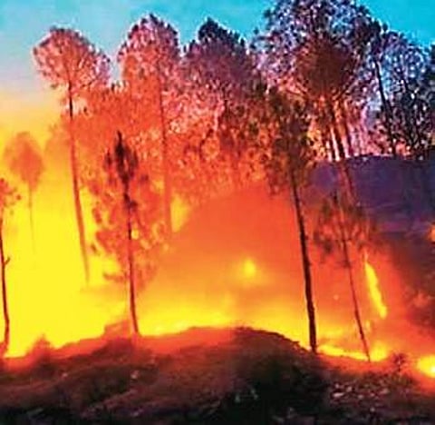 Forest fires cause pollution worse than that in toxic cities, says NRSC study