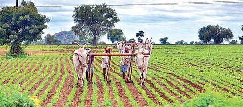 Image used for representational purpose only. |EPS