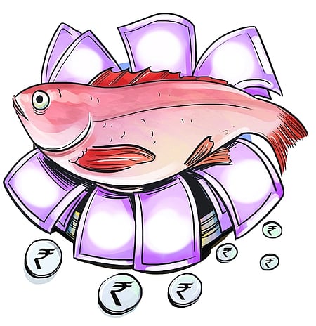 Image used for representational purpose only.