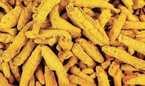 Image used for representational purpose only.