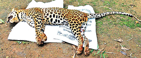 Image used for representational purpose only