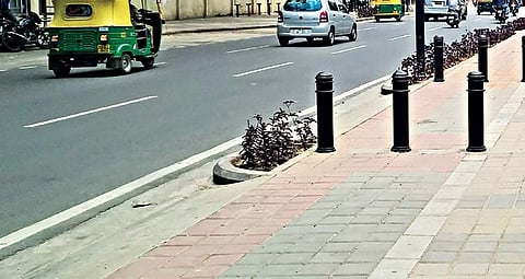 Bengaluru: Greening plan takes a beating