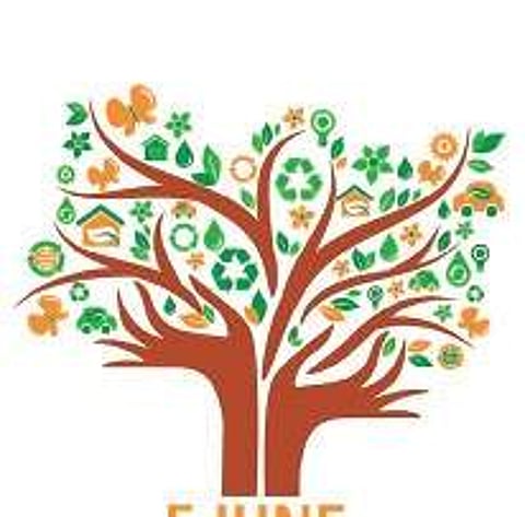 Kerala Biodiversity Museum to be thrown open to public tomorrow