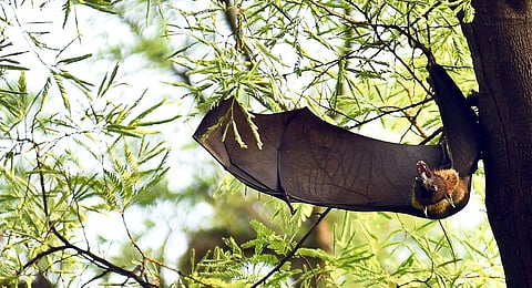 Image used for representational purpose.