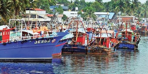 Trawl ban, boon or bane?