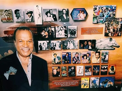 Bee Williams (Twitter | AP)