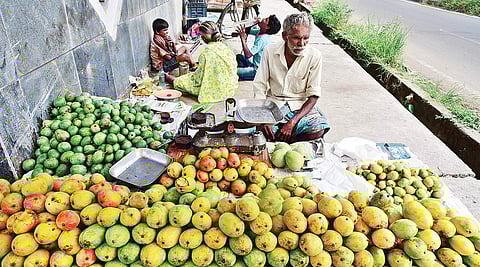 Nagapattinam farmers in Tamil Nadu want MSP for mangoes after Andhra Pradesh bans purchase