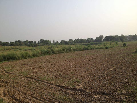 Image for representational purpose only (File photo | EPS)