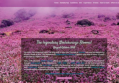 Now, log on to microsite on Neelakurinji