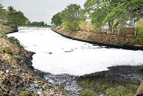 File photo of Bellandur lake, Bengaluru (File | EPS)