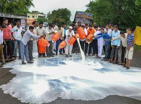 Though the agitators were told not to spill milk, vandalism marred the agitation at several places across the state on Monday | PTI