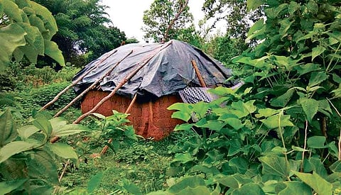 A hamlet in Chamchata village at the foothills of Similipal Tiger Reserve | Express