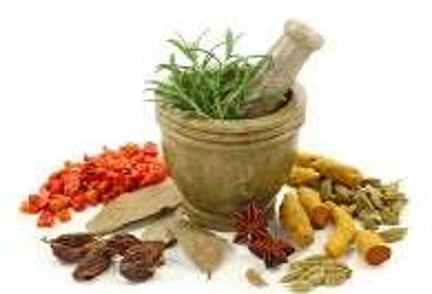 Rajagiri Hospital opens Ayurveda wing