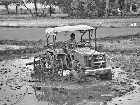 A farmer prepares his land for transplantation of paddy saplings at Dandeipali in Sambalpur district I | EXpress