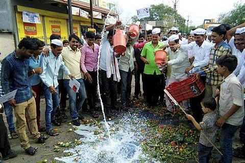 Farmers spill out milk during their state-wide protest in Maharashtra | PTI