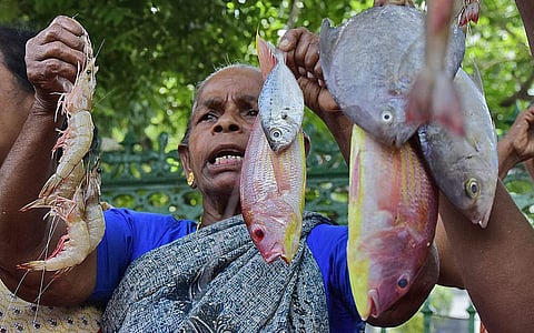 Kerala Swathantra Matsya Thozhilali Federation members protesting in front of Secretariat against the sale of adulterated fish in the state on 26 June, 2018. ( EPS | B P Deepu)