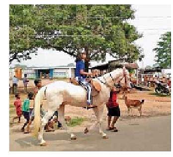 No horse riding lessons after Tito’s arrest