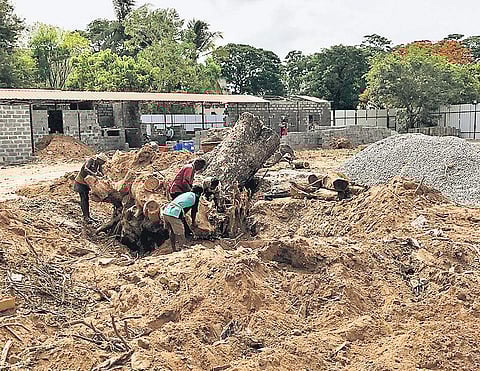 The land where the amusement park will be coming up | express