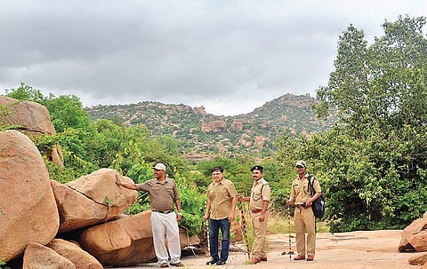 (Above) A leopard resting on a rock in the Gudekote habitat; DCF Ramesh Kumar, photographer S K Arun and other forest staff during their rounds